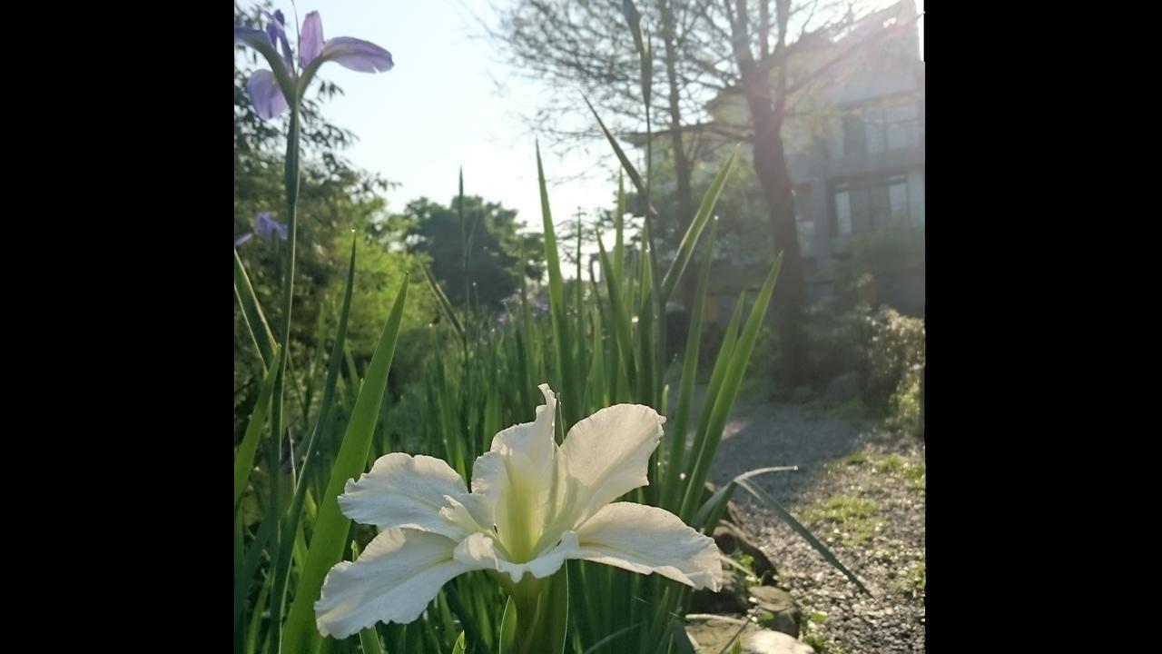 Stone House Homestay Yilan Ngoại thất bức ảnh